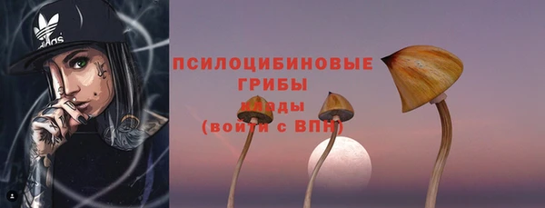 PSILOCYBIN Остров