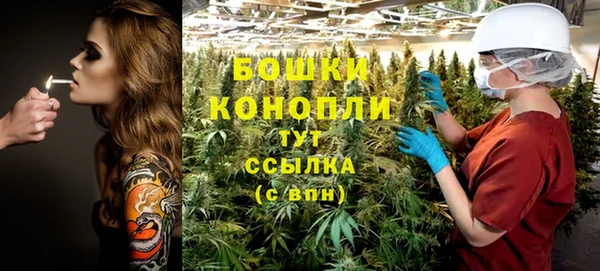 PSILOCYBIN Остров