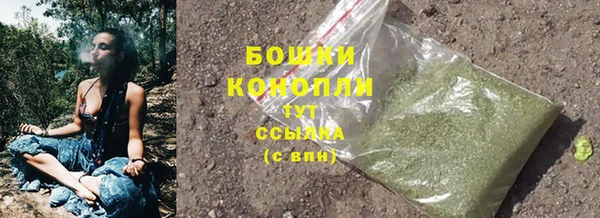 PSILOCYBIN Остров