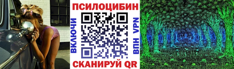 OMG рабочий сайт  Отрадный  Галлюциногенные грибы Psilocybe 